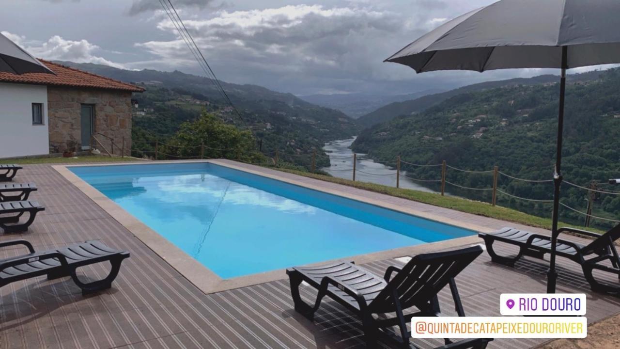 Quinta De Catapeixe Douro River Magrelos Eksteriør billede