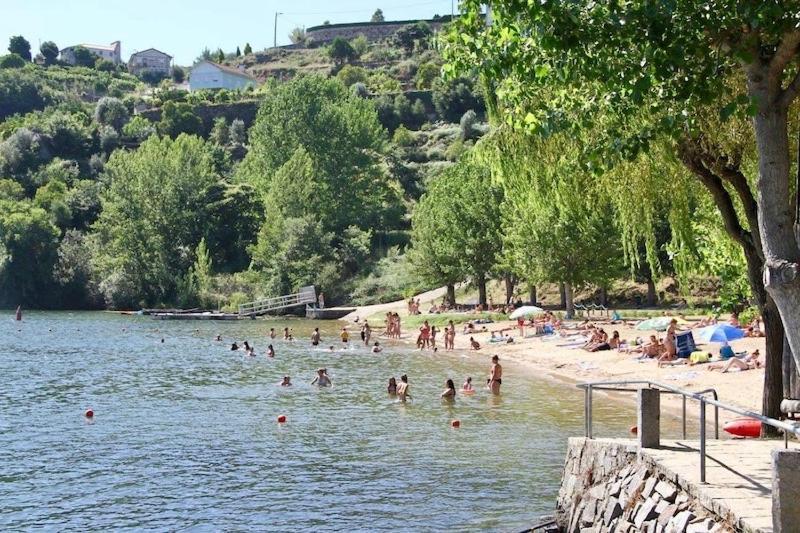 Quinta De Catapeixe Douro River Magrelos Eksteriør billede