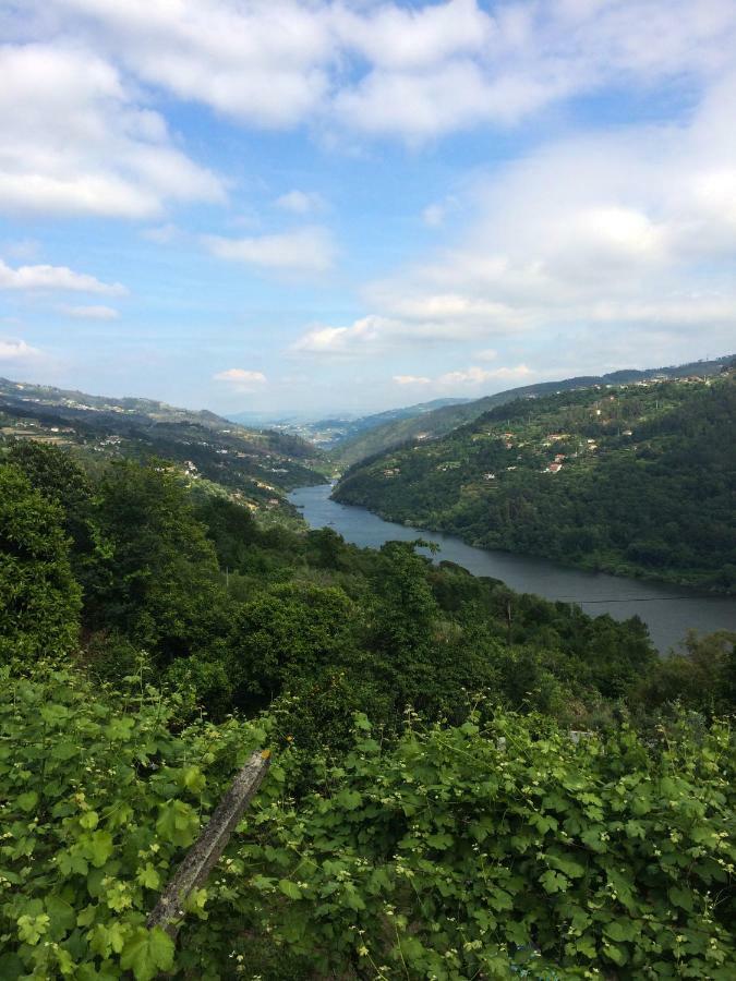 Quinta De Catapeixe Douro River Magrelos Eksteriør billede