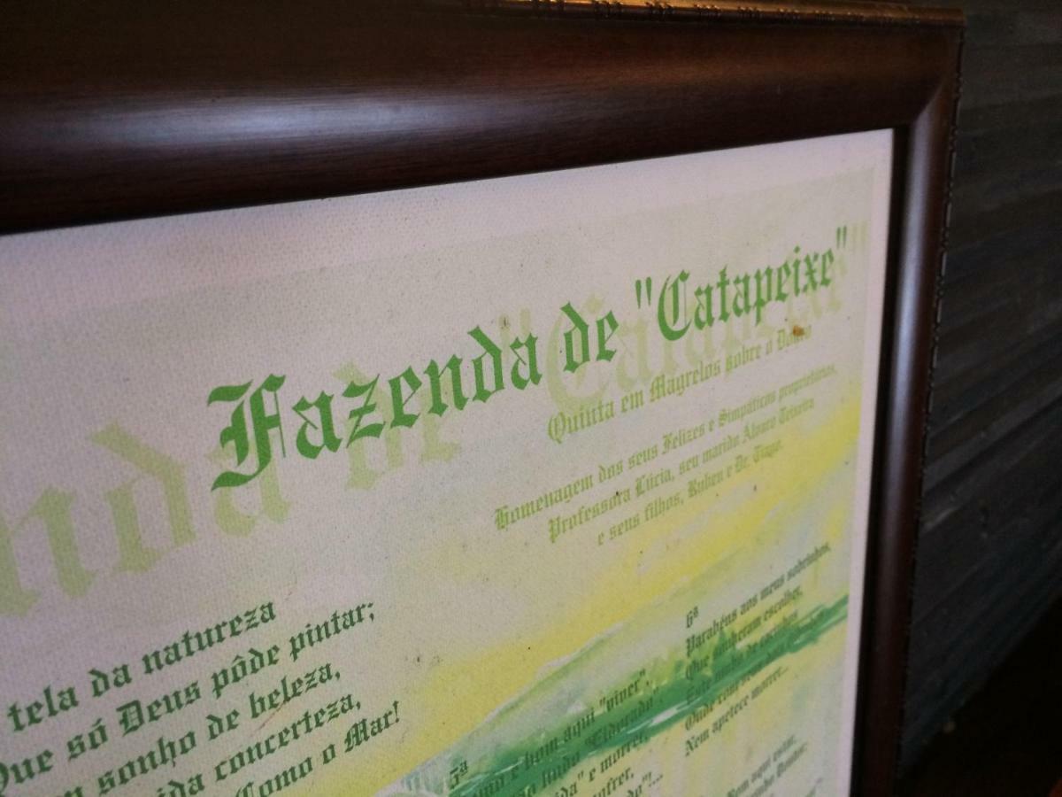Quinta De Catapeixe Douro River Magrelos Eksteriør billede