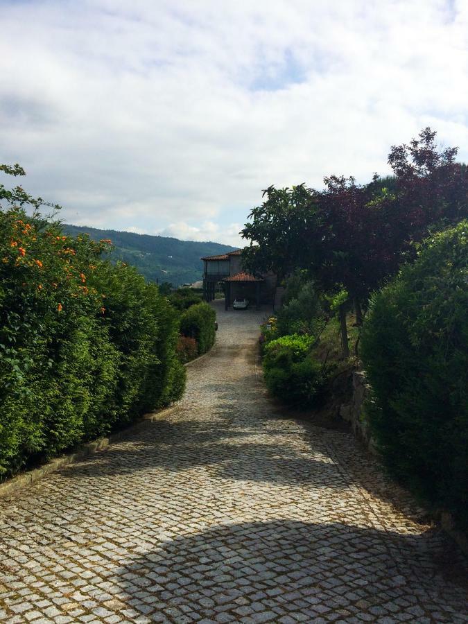Quinta De Catapeixe Douro River Magrelos Eksteriør billede