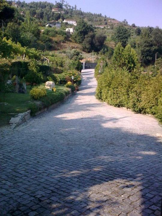 Quinta De Catapeixe Douro River Magrelos Eksteriør billede