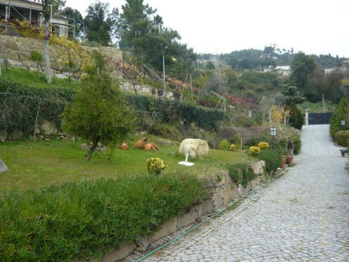 Quinta De Catapeixe Douro River Magrelos Eksteriør billede