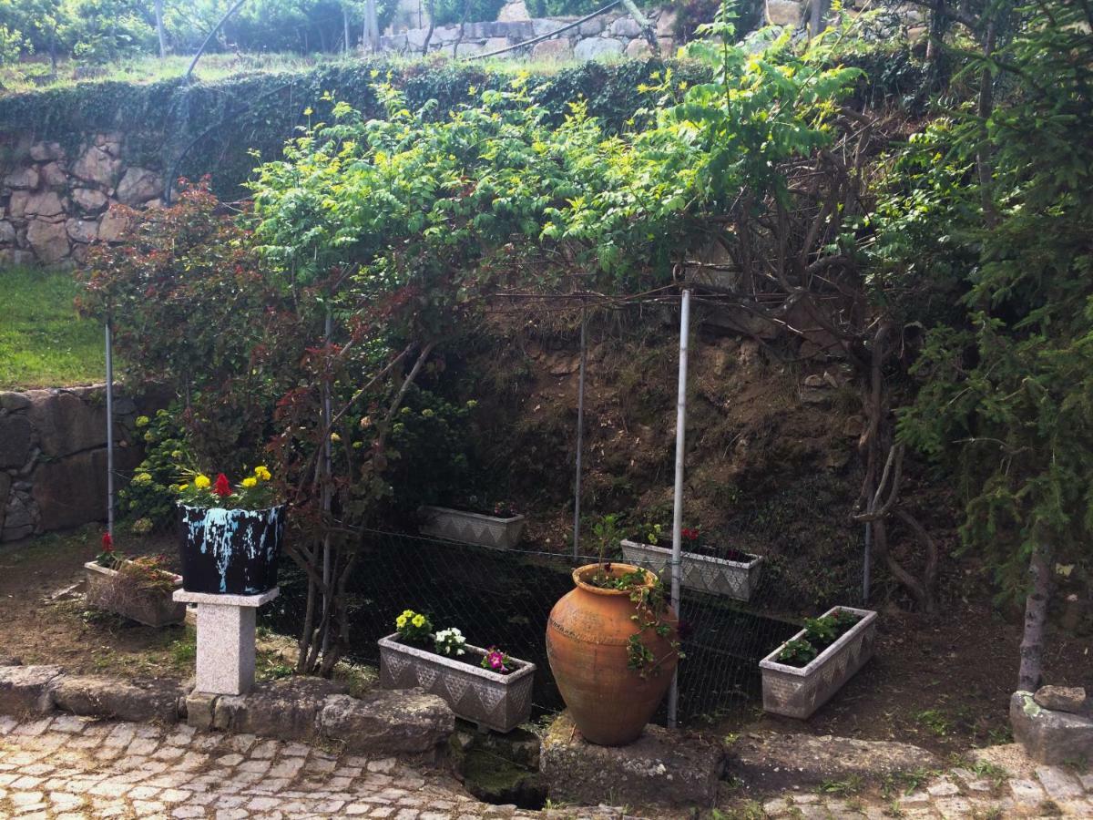 Quinta De Catapeixe Douro River Magrelos Eksteriør billede